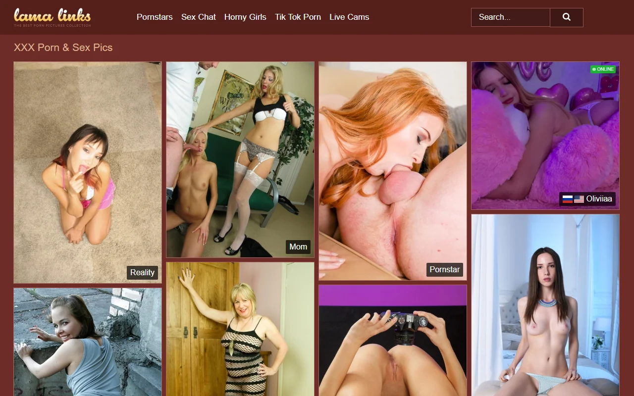 Screenshot: Lamalinks Screenshot of Lamalinks